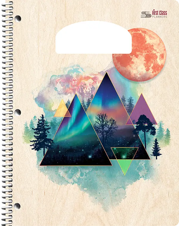 PiQ Potential Standard school agenda cover choices - Northern Lights