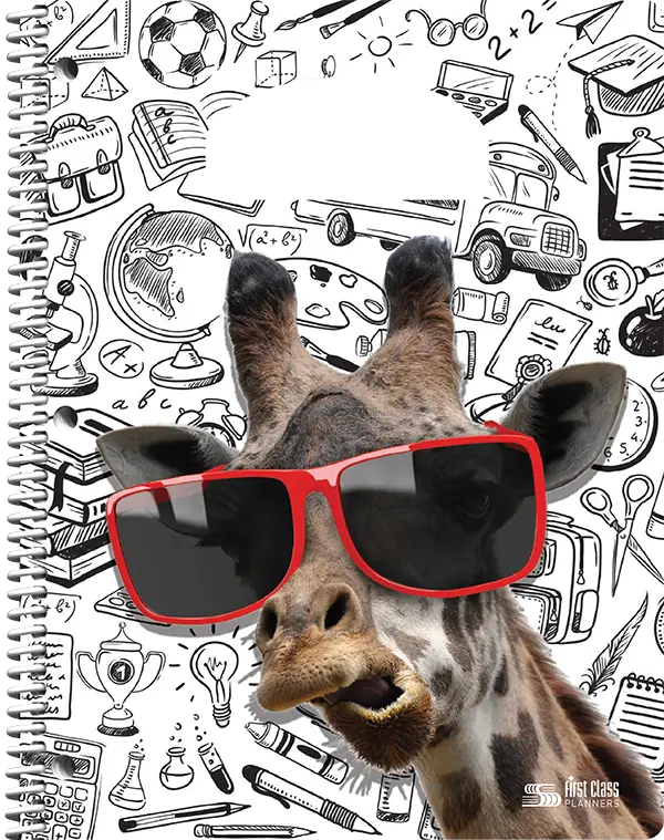 PiQ Potential Standard school agenda cover choices - School is Cool