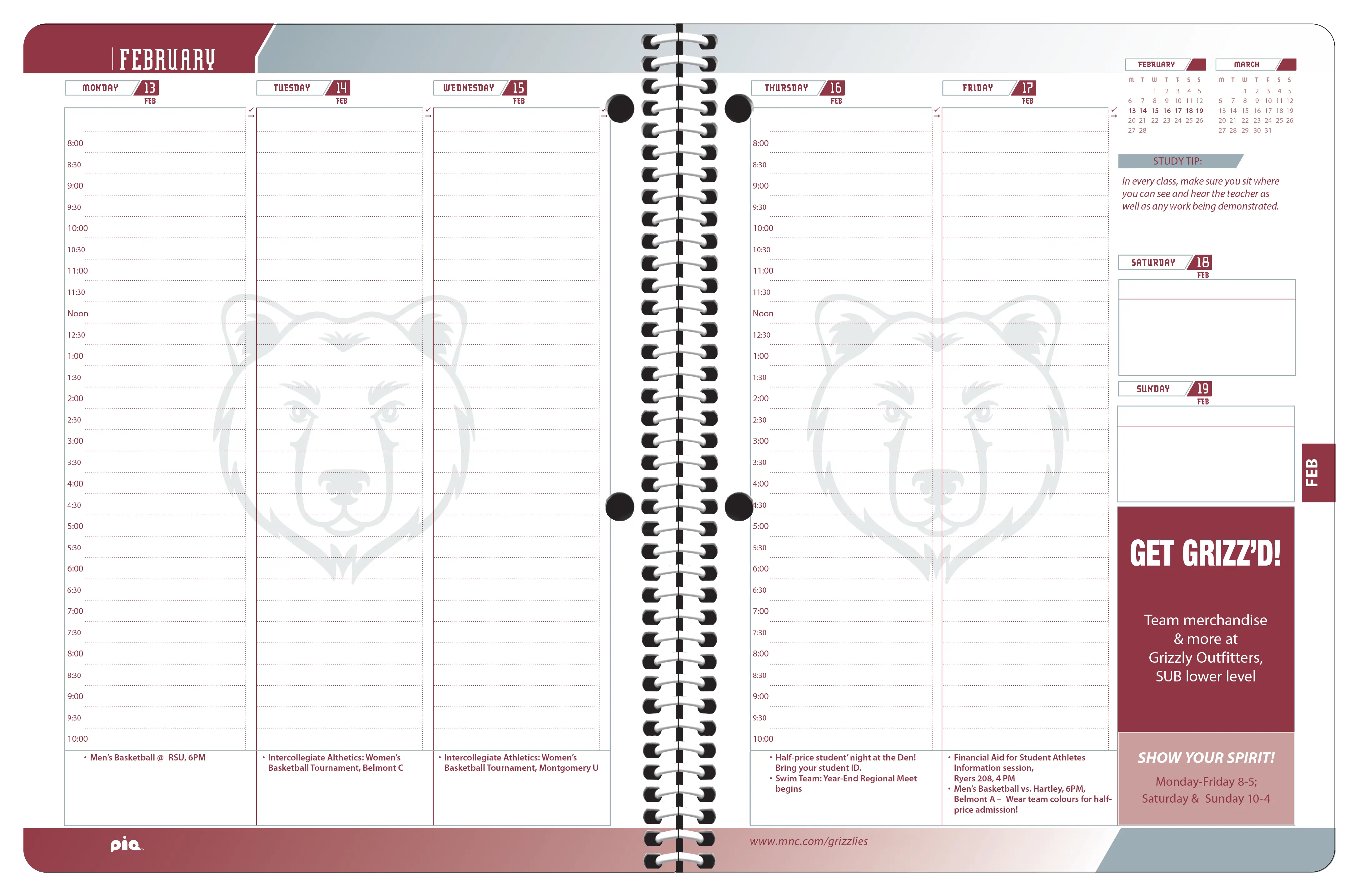Chameleon Planner, Matrix Layout