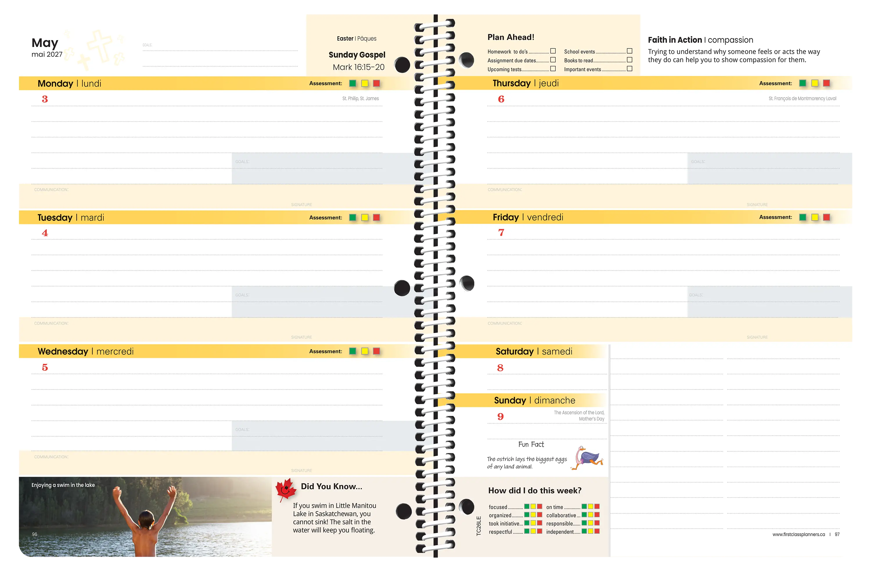 Faith Series – Elementary